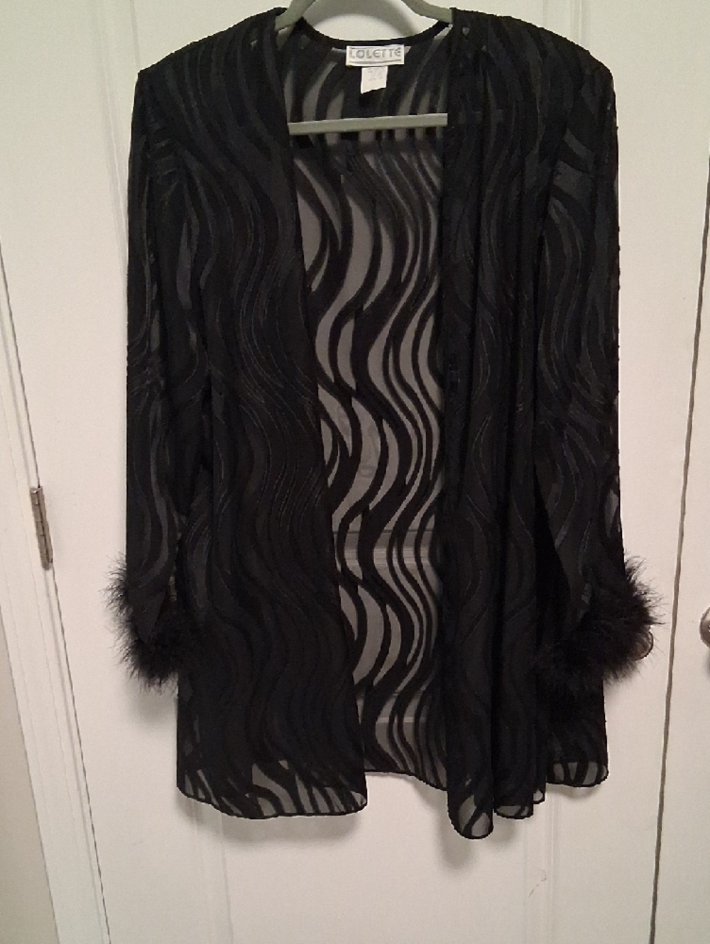 Black Sheer Wave-Pattern Robe with Feather Trim - Picture 4 of 4